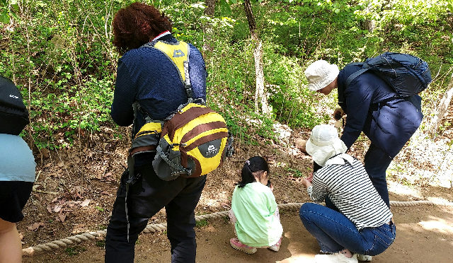 [산림치유] 2026년 북한산 치유의 숲 산림치유 프로그램 포스터