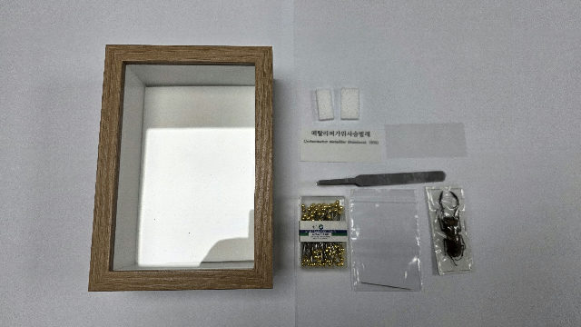 (9~12월) 불암산나비정원 포스터