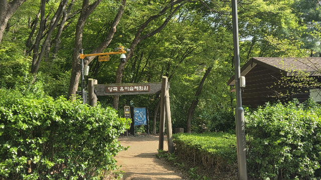 (월, 4시) 관악산 당곡유아숲체험원, 함께 걷자! 오후의 숲길 산책 포스터