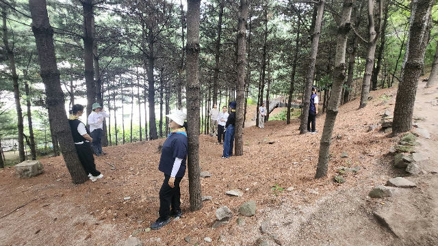 (토) 일상은 OFF, 숲은 ON 포스터