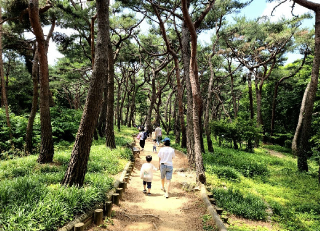아차산 치유의 숲길- 10월 산림치유 프로그램(토)- 가족 포스터