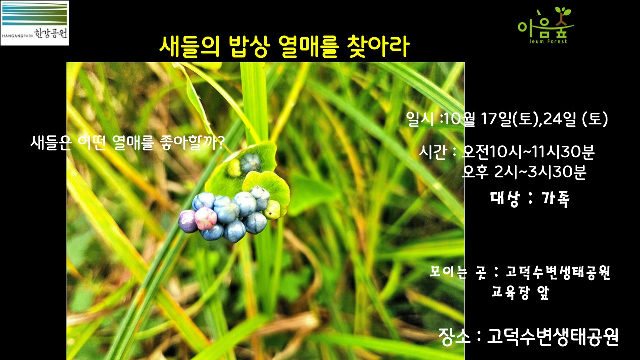 (고덕)(토)새들의 밥상 열매를 찾아라 포스터