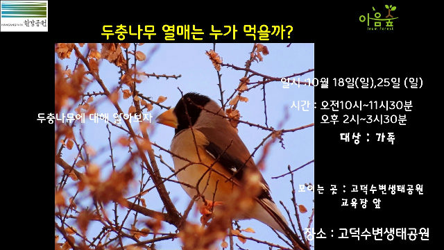 (고덕)(일)두충나무 열매는 누가 먹을까? 포스터