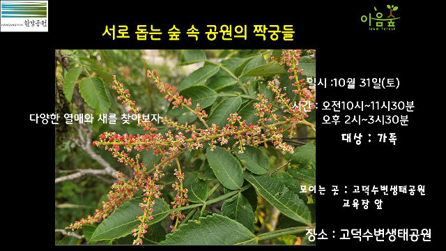(고덕)(토)서로 돕는 숲속 공원의 짝꿍들 포스터