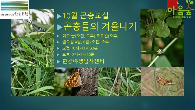 (한강야생탐사센터/특화)(금,토,일) 10월의 곤충교실 포스터