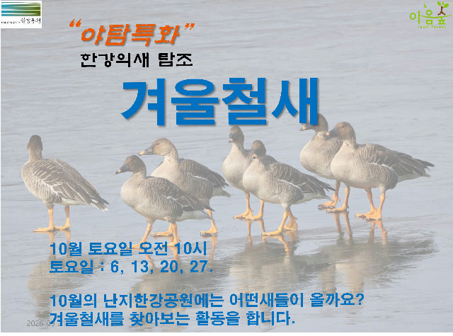 (한강야생탐사센터/특화)(토) 여름철새 포스터