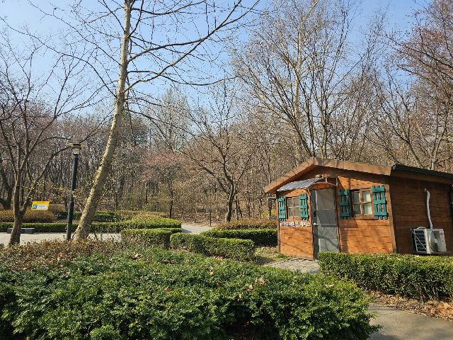 [강동구 앨리스유아숲] 10월 31일 (토) 오전10시 주말 유아가족과 함께하는 숲체험 "씨앗의 비밀 여행" 포스터
