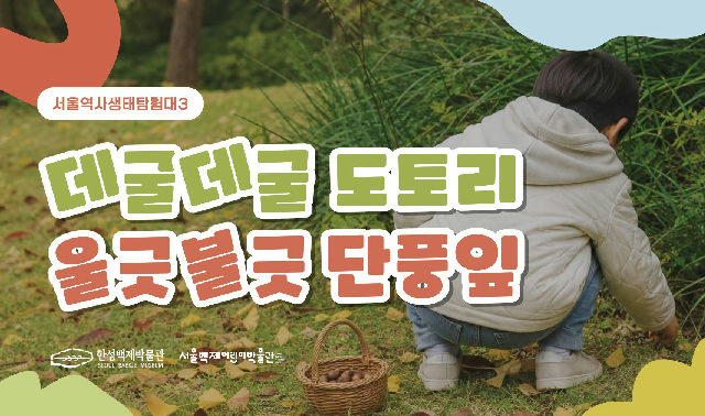 [서울백제어린이박물관] 5세~초등 1학년 어린이와 양육자 대상 <서울역사생태탐험대3> "데굴데굴 도토리, 울긋불긋 단풍잎" (가을역사생태) 포스터