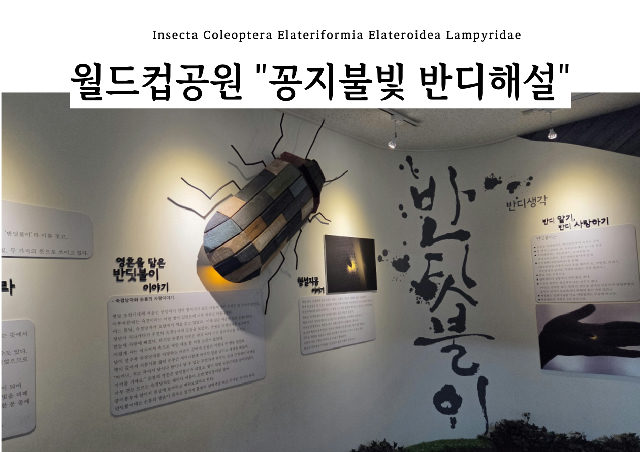 [월드컵공원] 꽁지 불빛 반딧불이 해설(10월) 포스터
